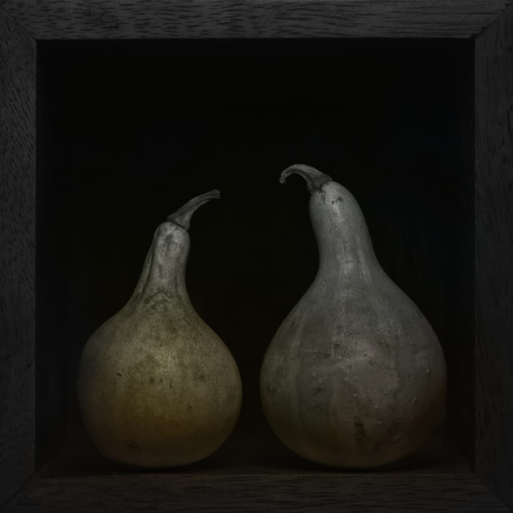 Muted Gourd Still Life by Lotte Grønkjær — canvas wall art