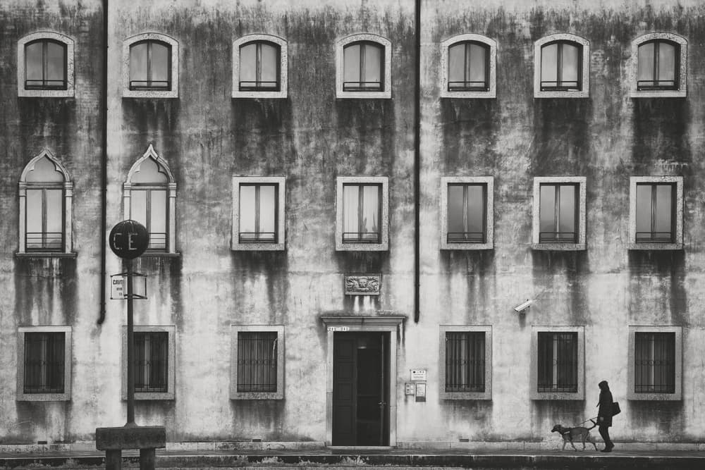 Urban Facade Dog Walk by Davorin Baloh — canvas wall art