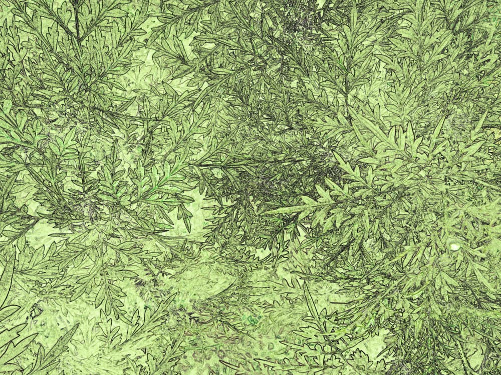 Sketchy Green Foliage by Santhosh ch — canvas wall art