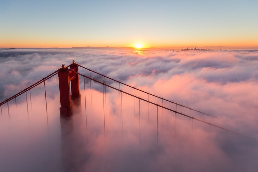 Golden Gate Above Clouds by Toby Harriman — canvas wall art