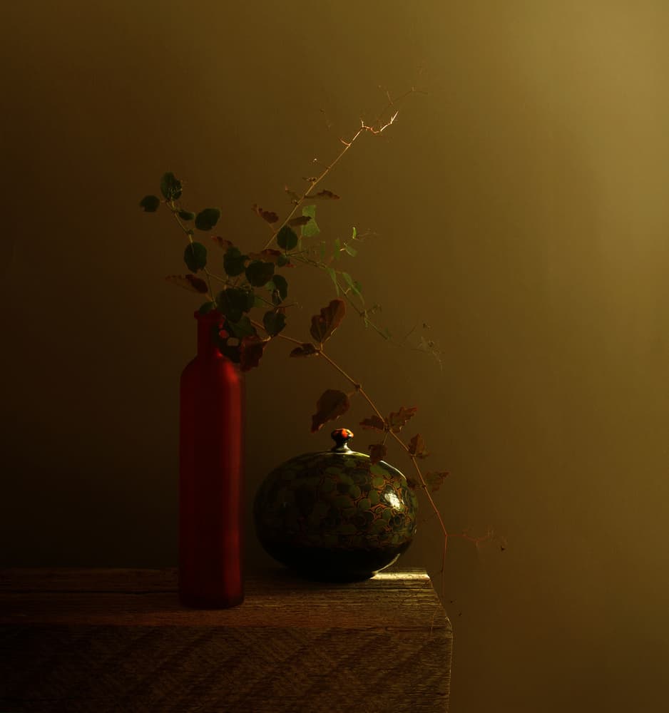 Red Bottle Dark Still Life by Margaret Halaby — canvas wall art