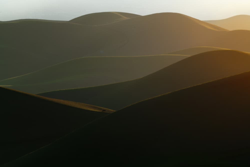 Golden Rolling Hills by Chuanxu Ren — canvas wall art