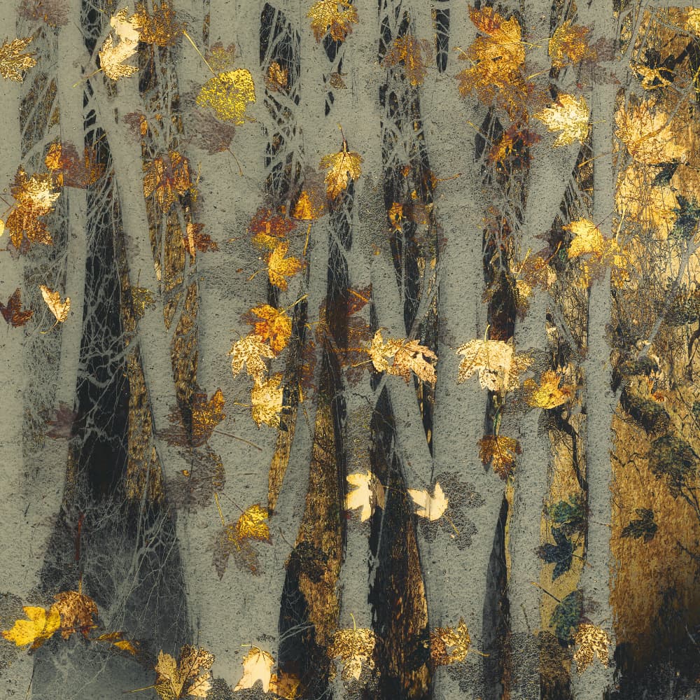 Gold leaf by Nel Talen — canvas wall art