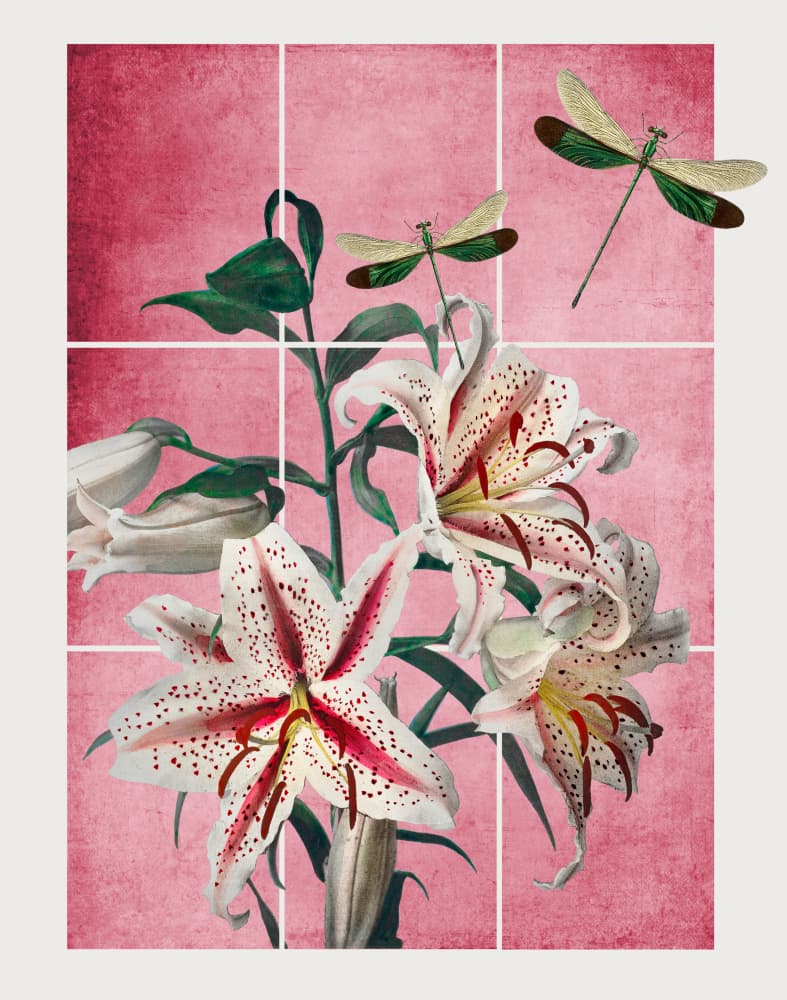 Pink Lilies and Dragonflies by Marja van den Hurk — canvas wall art