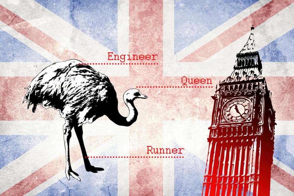 London Ostrich Riddle by Rafal Kulik — canvas wall art