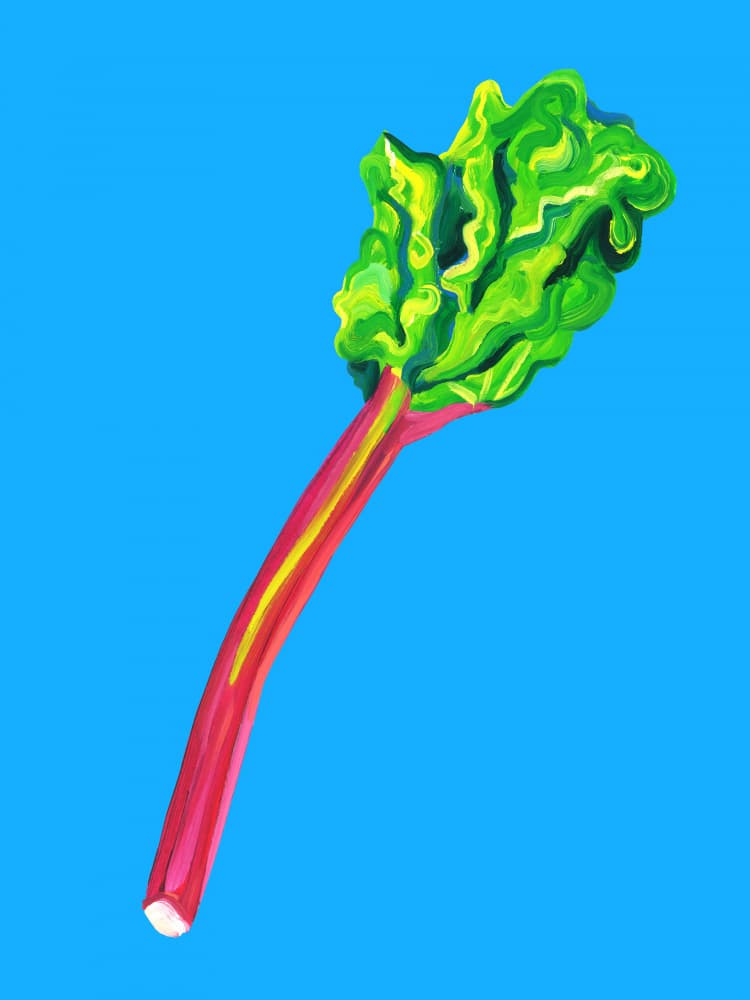 Fresh Rhubarb Stalk by Alice Straker — canvas wall art