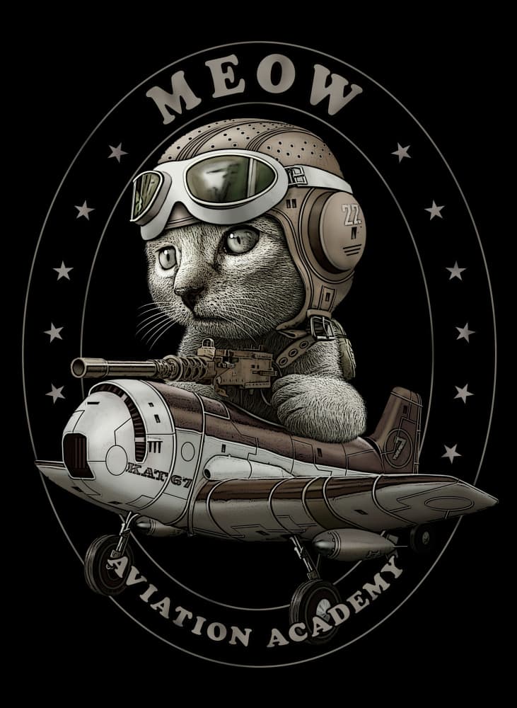 Flying Ace Cat by Adam Lawless — canvas wall art
