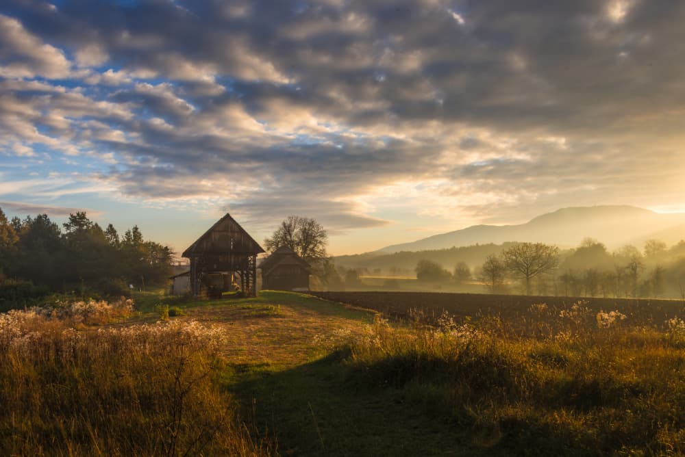 Misty Golden Sunrise Barn by Joško Šimic — canvas wall art