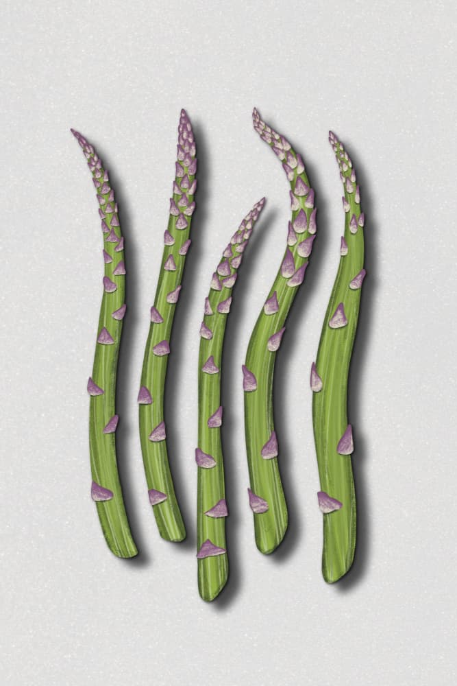 Fresh Green Asparagus by EMELIEmaria — canvas wall art
