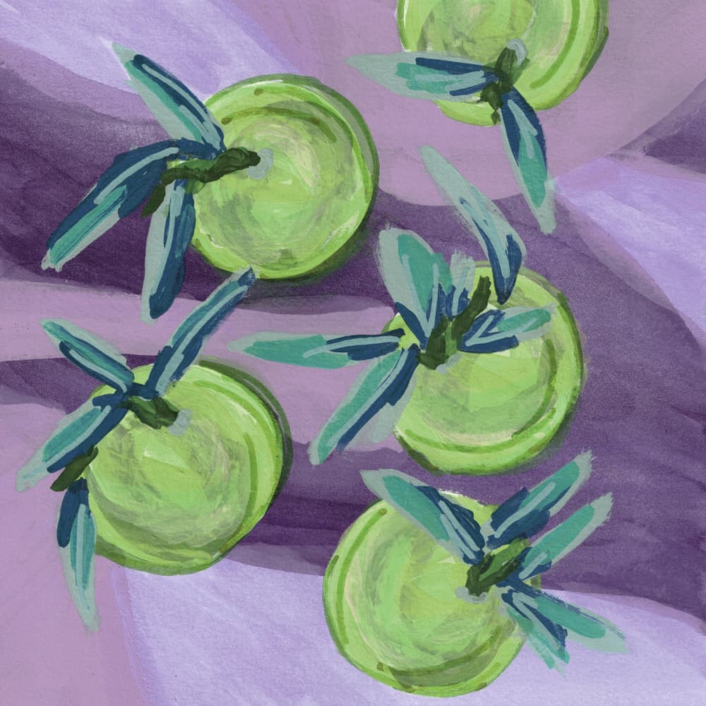 Green Fruit on Purple by Lori Ann Folz — canvas wall art