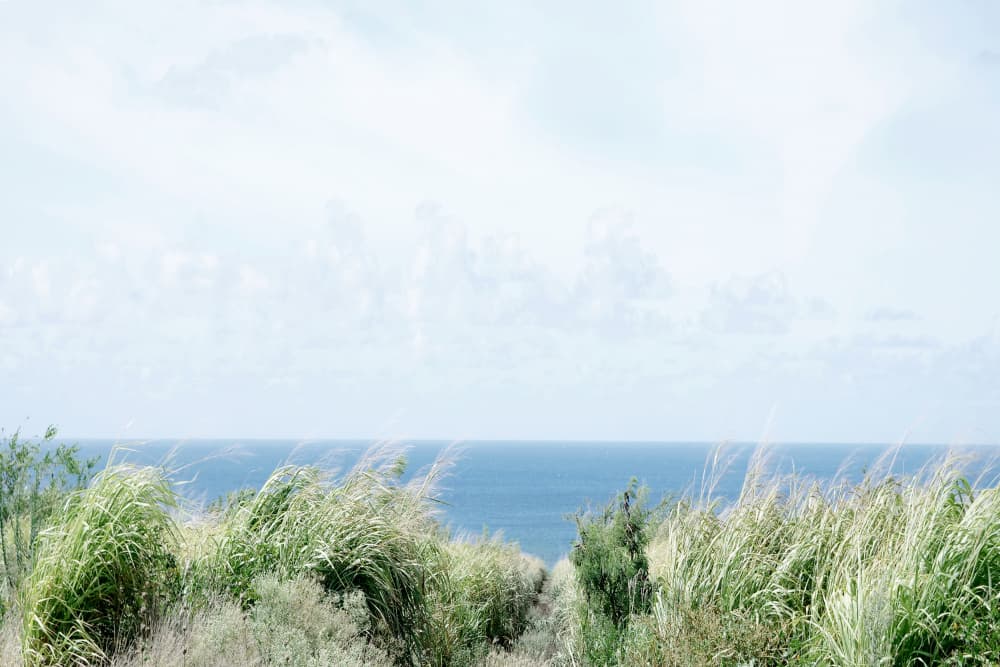 Peaceful Coastal View by Gemma Bardot — canvas wall art
