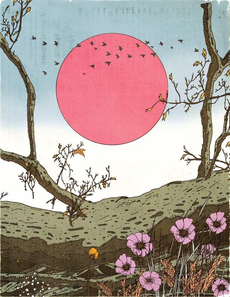 Red Sun Flying Birds by Nicholas — canvas wall art