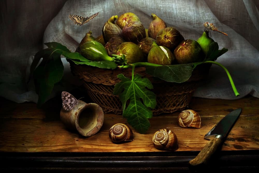 Rustic Fig Still Life by Christian MARCEL — canvas wall art