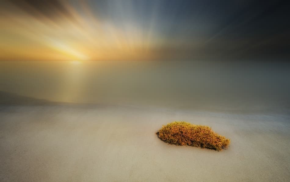 Golden Beach Sunrise by paralaxa — canvas wall art