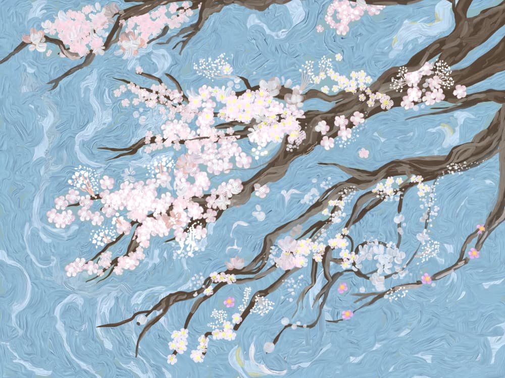 Spring Cherry Blossoms Blue