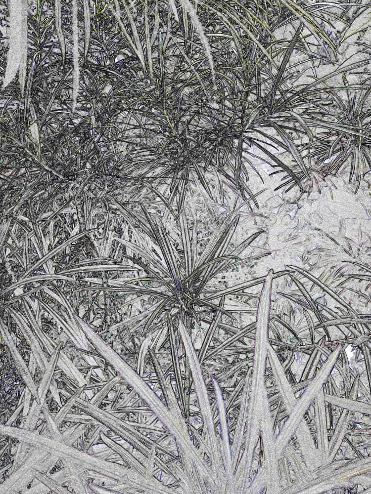 Dense Botanical Foliage by Santhosh ch — canvas wall art