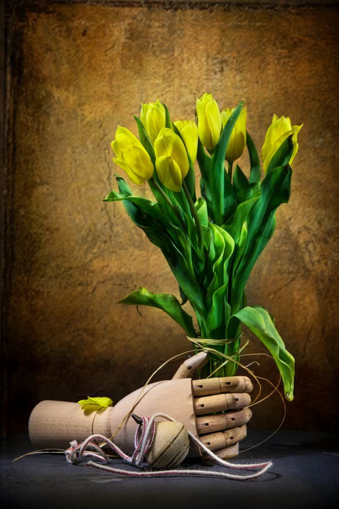 Golden Tulips And Hand by Felice Angelino — canvas wall art