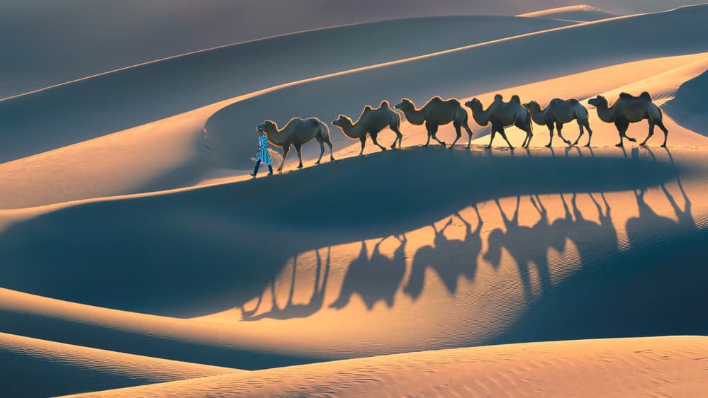 Golden Desert Journey by Richard Liu — canvas wall art