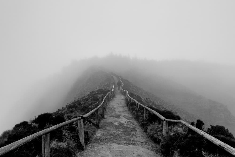 Misty Mountain Path by Paulo Jorge — canvas wall art
