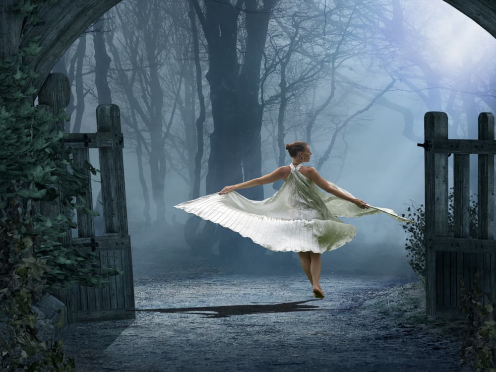 Enchanted Forest Dancer by Barbara A. Fletcher — canvas wall art