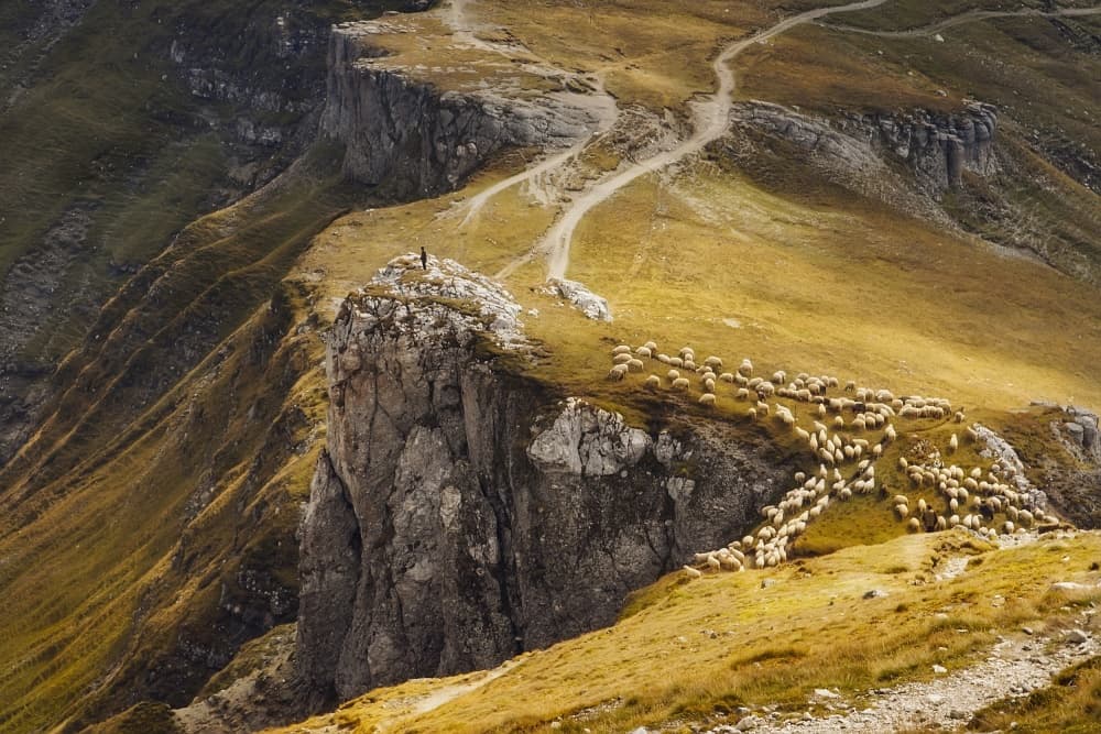 Golden Mountain Pastures by mihai ian nedelcu — canvas wall art