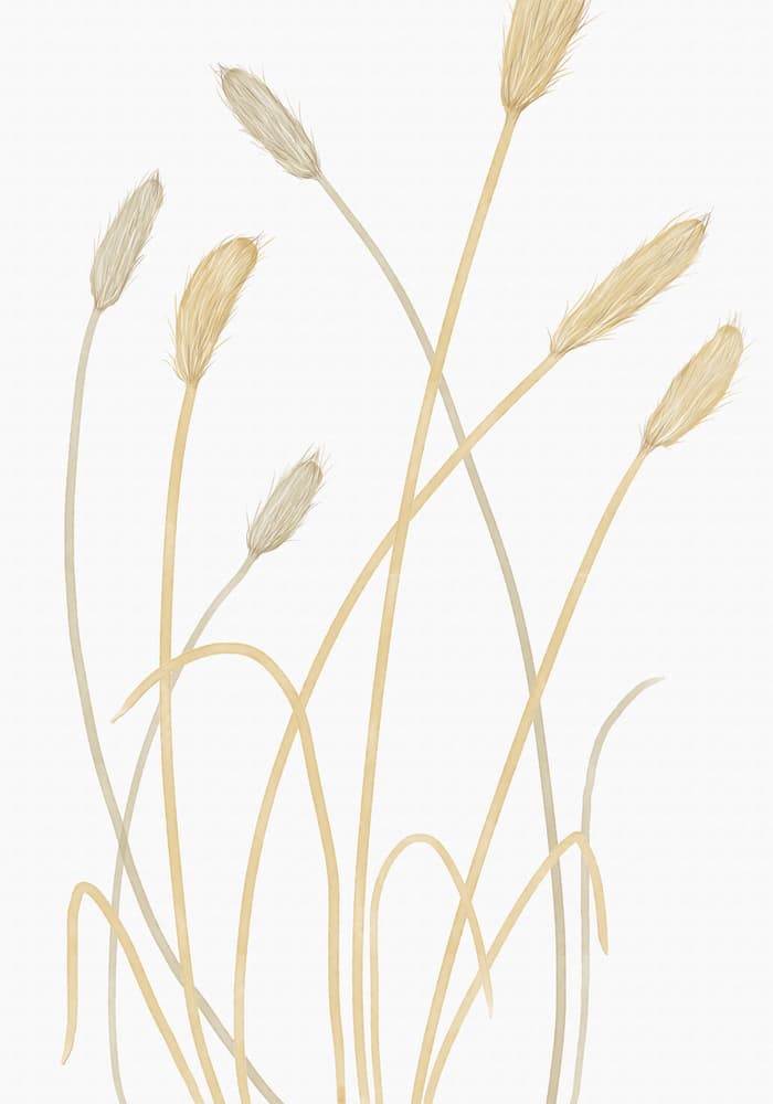 Neutral Pampas Grass by Pictufy Studio II — canvas wall art