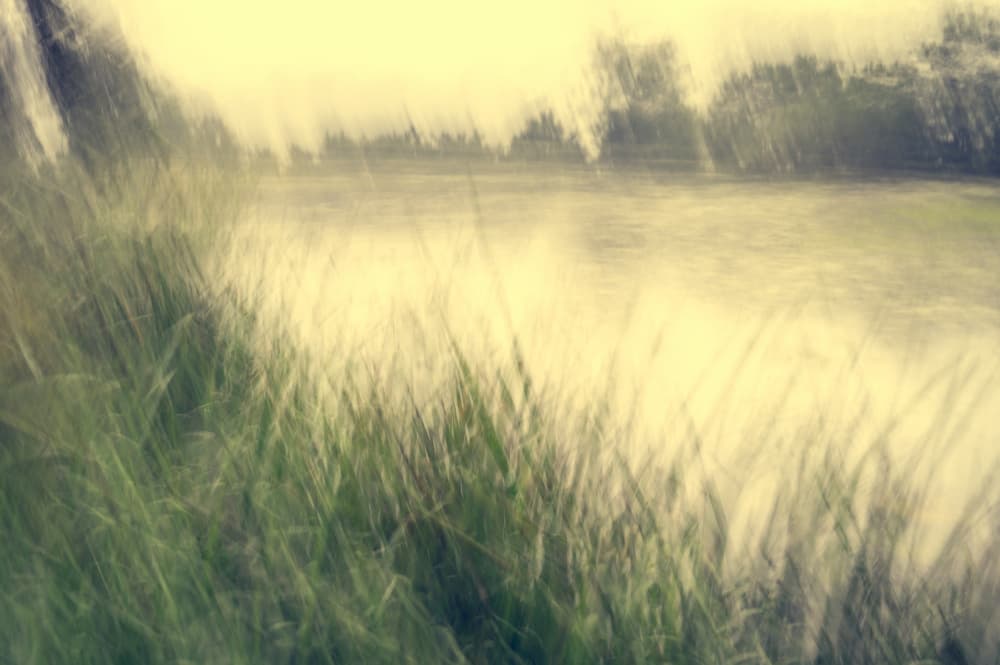Blurred Green Waterscape by Ina Bouhuijzen — canvas wall art