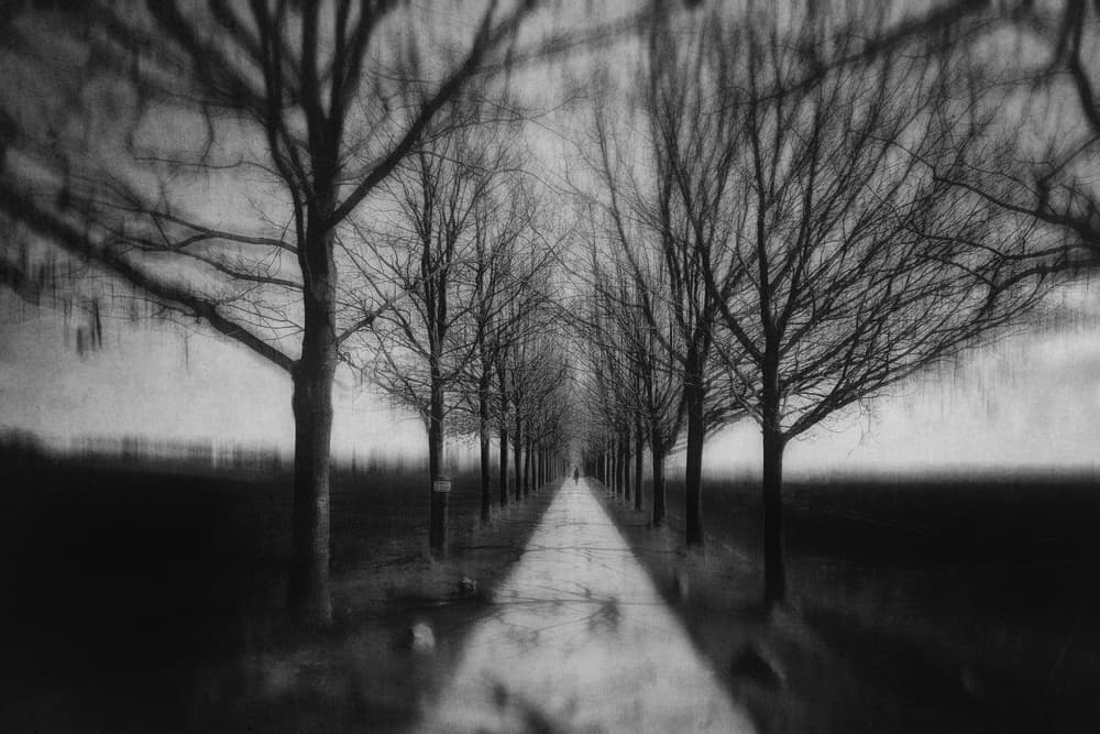 Lonely Winter Path by Adam Dauria ☂ — canvas wall art