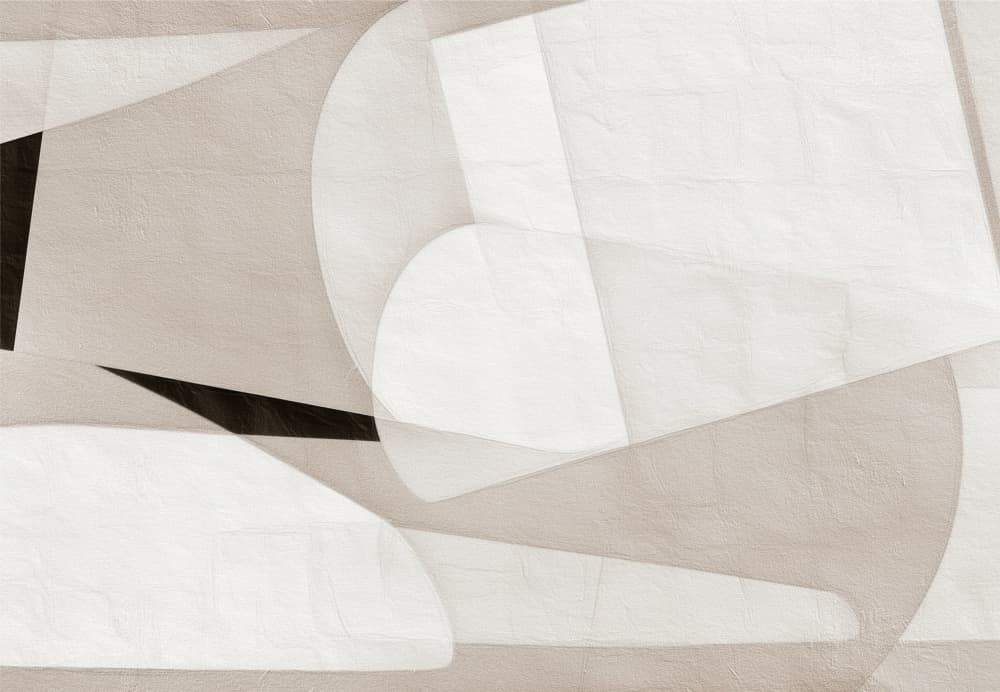 Layered Organic Shapes by Alma — canvas wall art