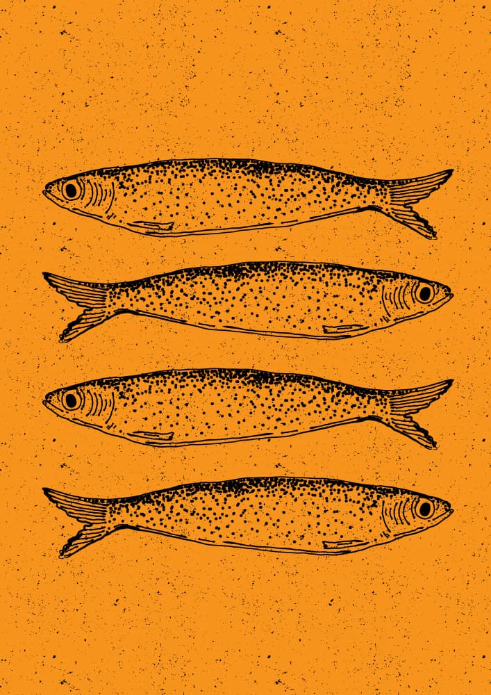 Four Rustic Sardines