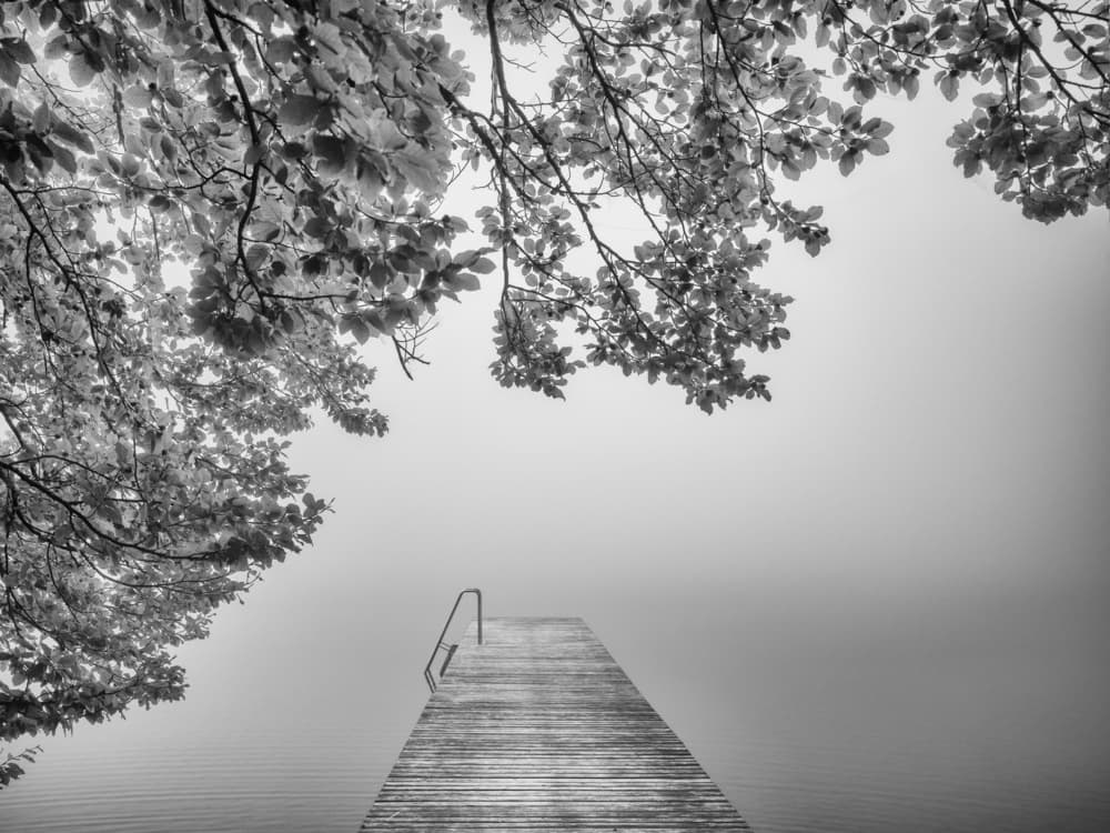 Foggy Lake Dock by Margit Lisa Pinggera — canvas wall art