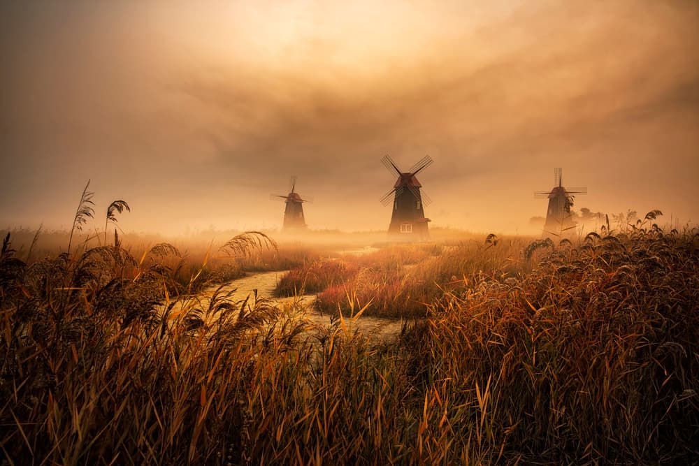Golden Windmills Fog by Tiger Seo — canvas wall art