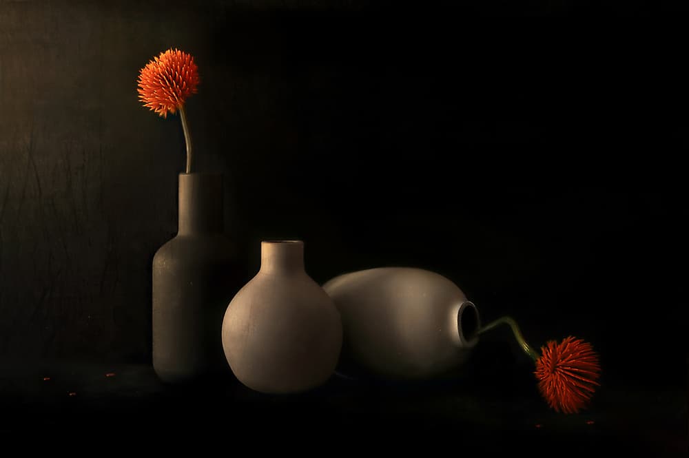 Orange Bloom Still Life by Elena Arjona — canvas wall art