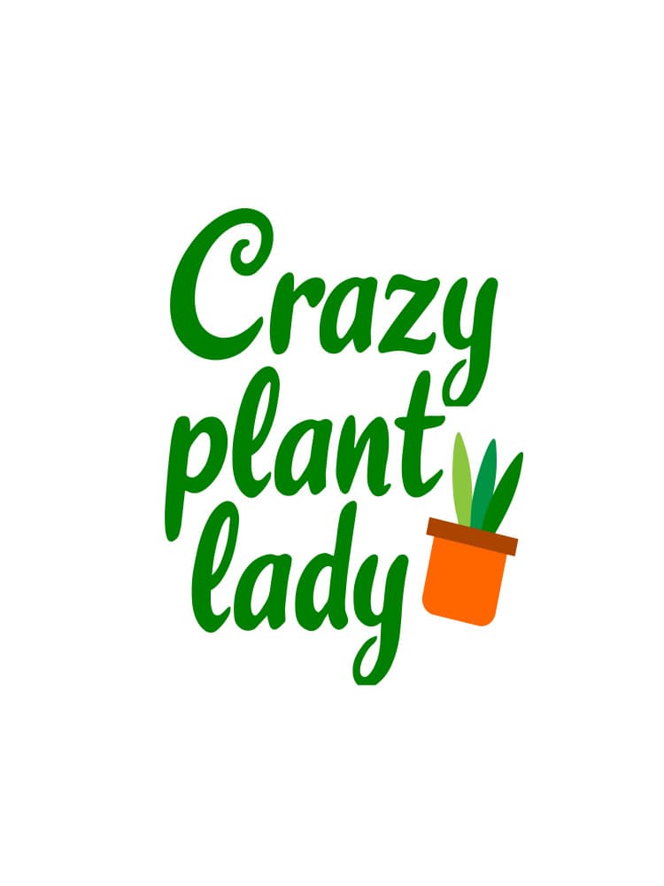 Crazy Plant Lady by Baobab Print store — canvas wall art