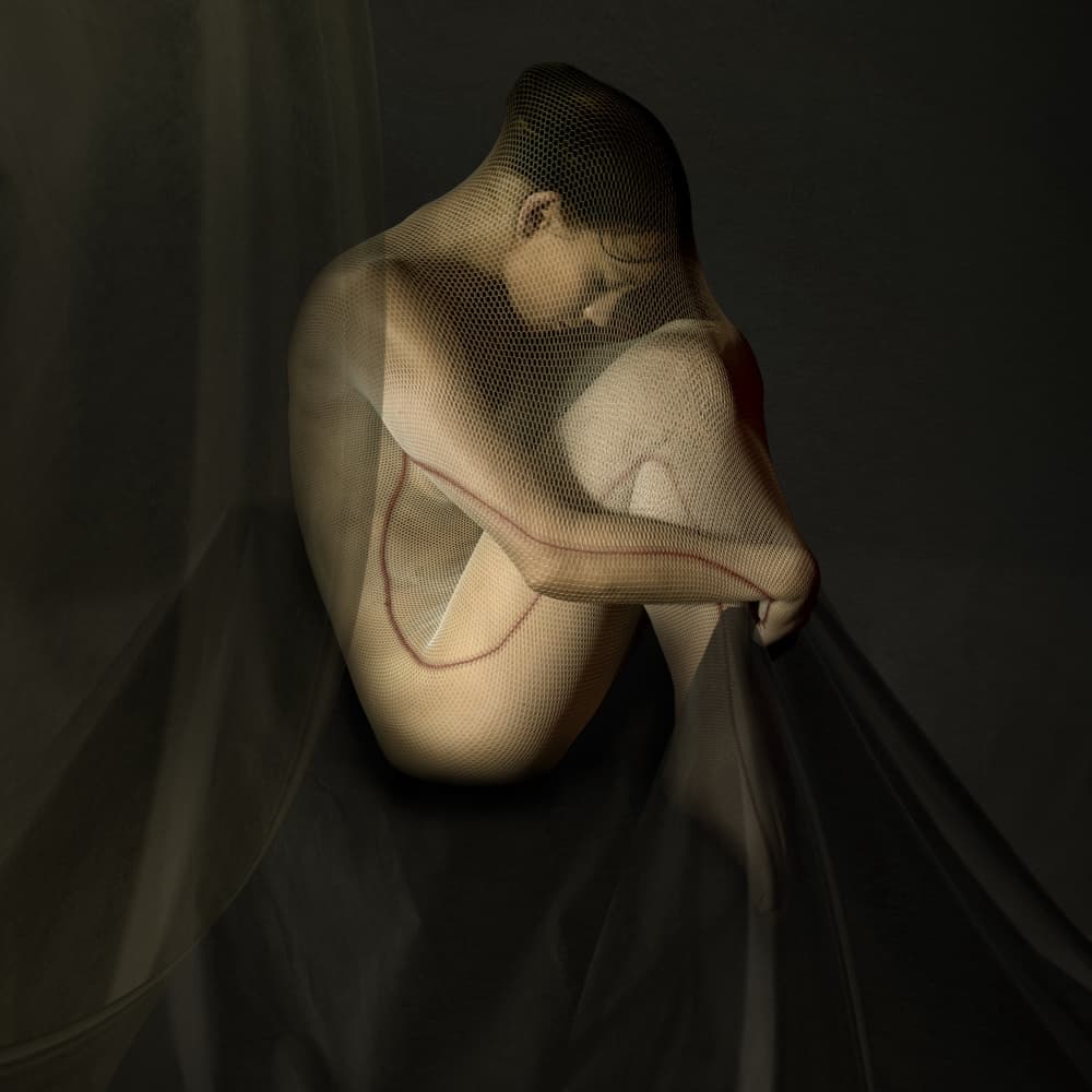 Enmeshed in Thought by Christine von Diepenbroek — canvas wall art