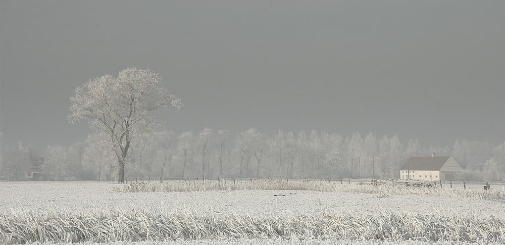 Winter Countryside Serenity by Yvette Depaepe — canvas wall art