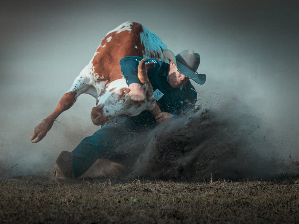 Dusty Bull Ride by Frank Ma — canvas wall art