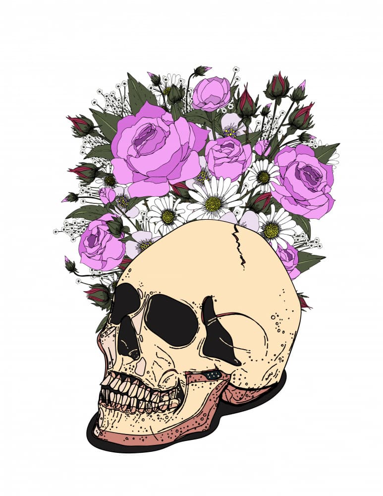 Floral Skull Bloom by Nicholas — canvas wall art
