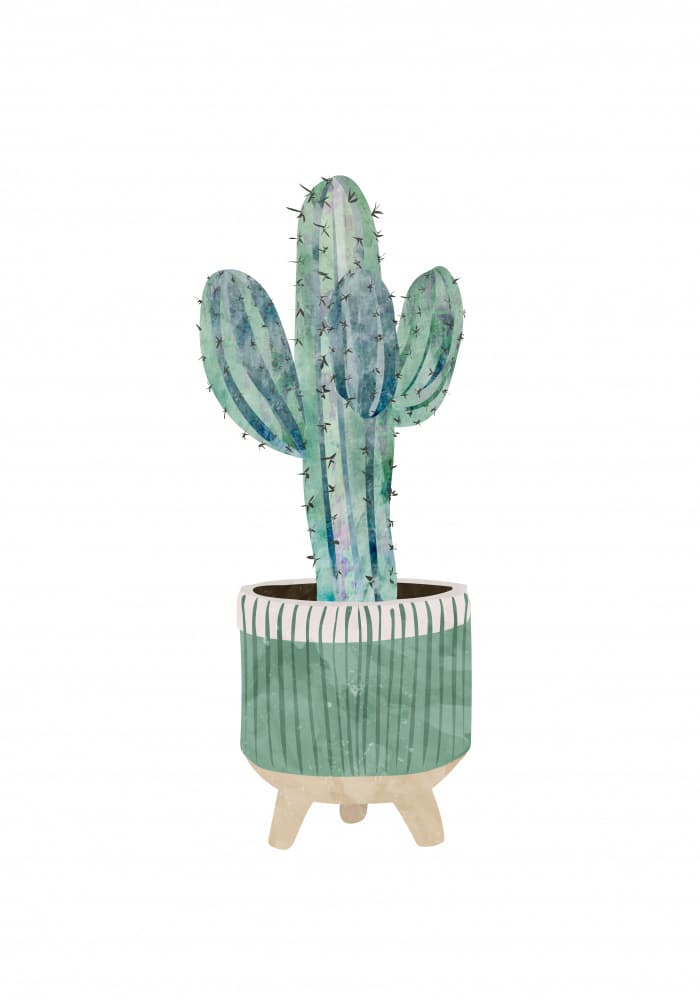 Watercolor Potted Cactus by Sarah Manovski — canvas wall art