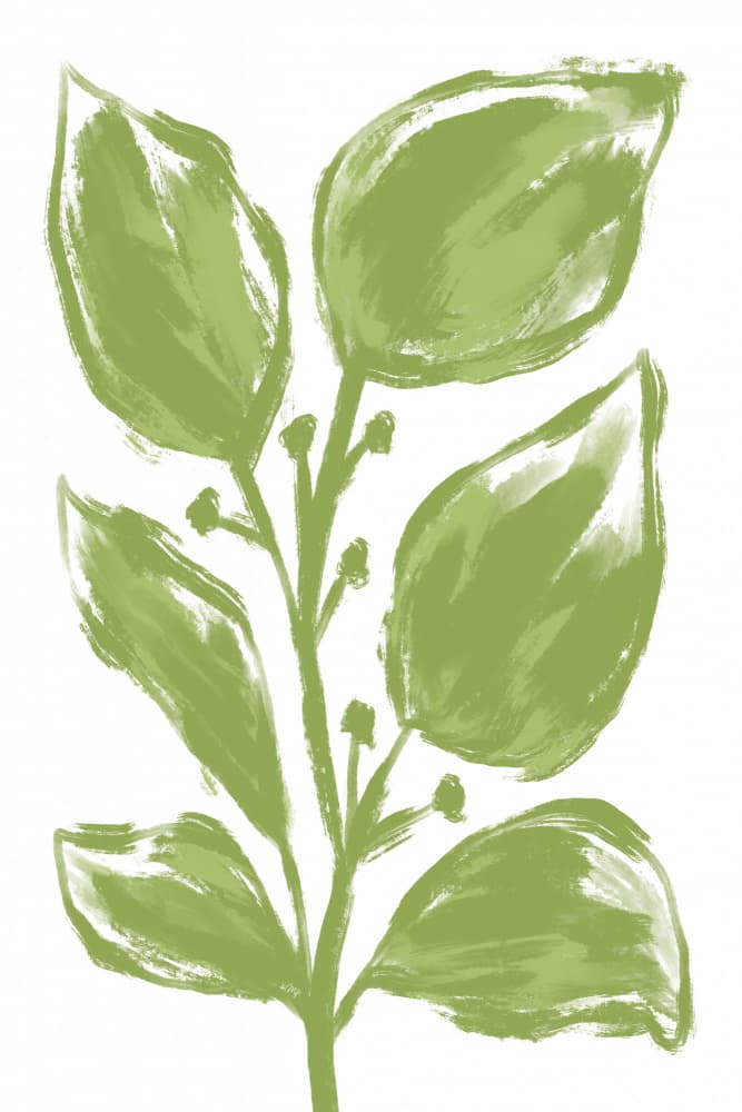 Modern Green Botanical by Martina — canvas wall art
