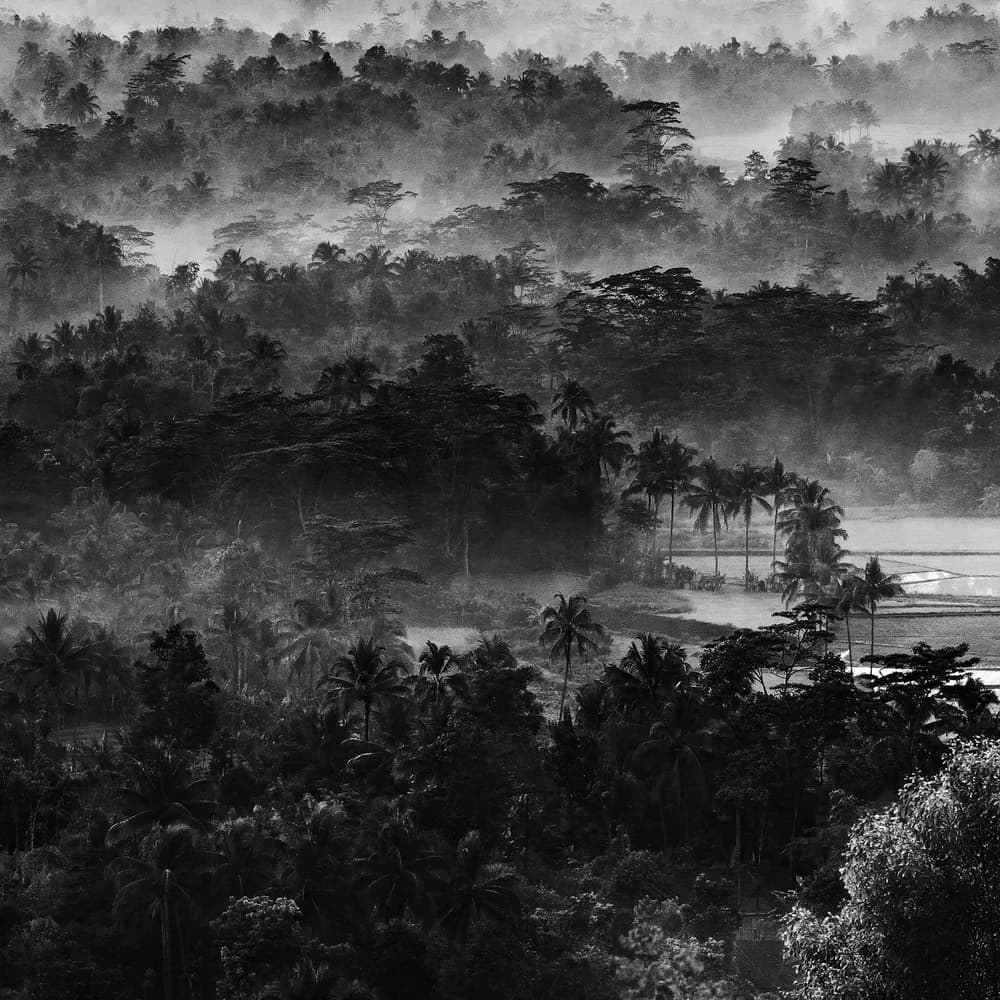 Misty Tropical Landscape by Johanes Januar — canvas wall art