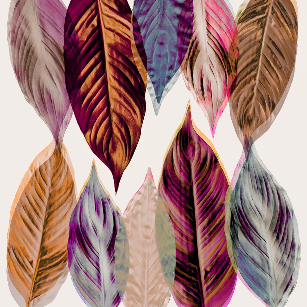 Red and Pink Leaves by Mareike Böhmer — canvas wall art