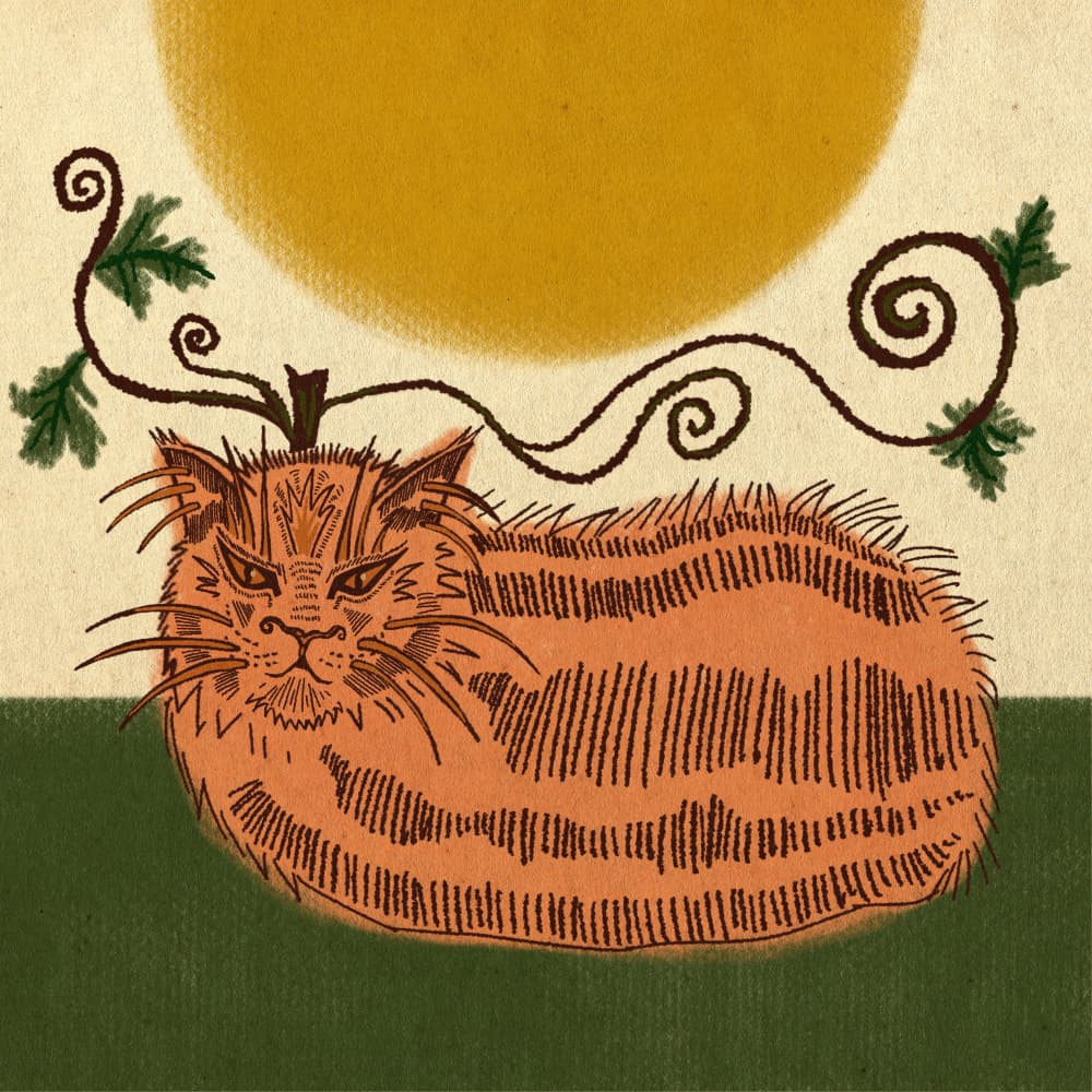 Autumn Pumpkin Cat