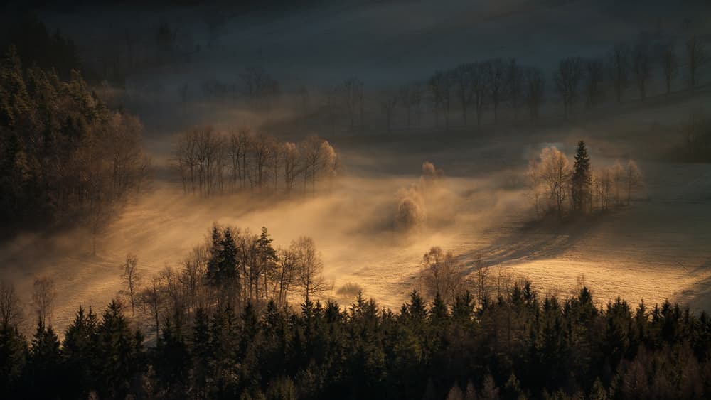 Misty Golden Sunrise by Izabela Laszewska-Mitrega / Darek Mitręga — canvas wall art