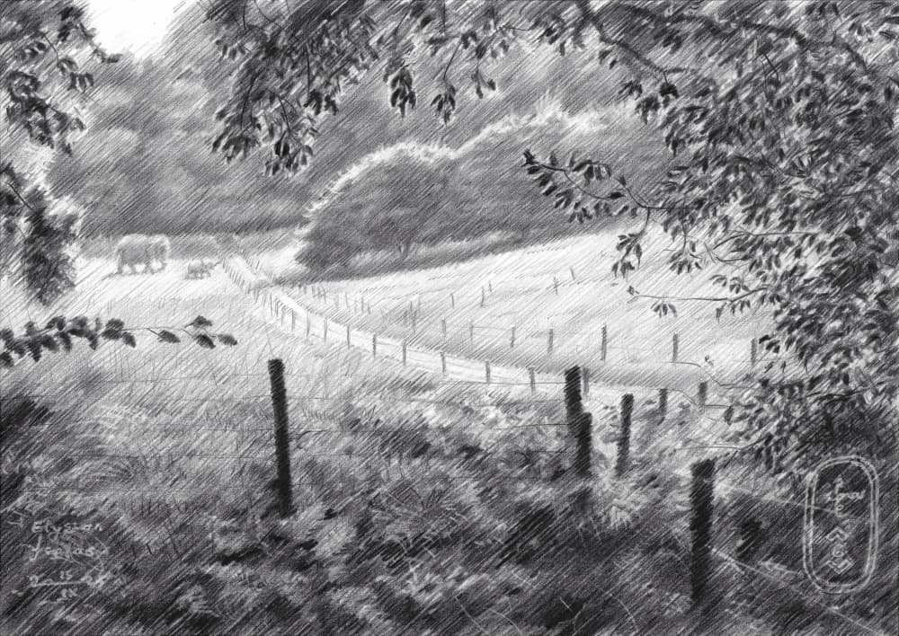 Peaceful Countryside Path by Corné Akkers — canvas wall art