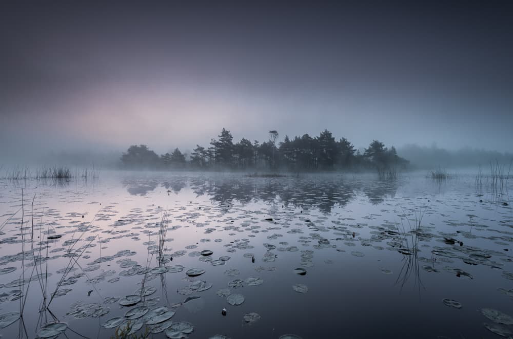 Misty Lake Morning by Benny Pettersson — canvas wall art
