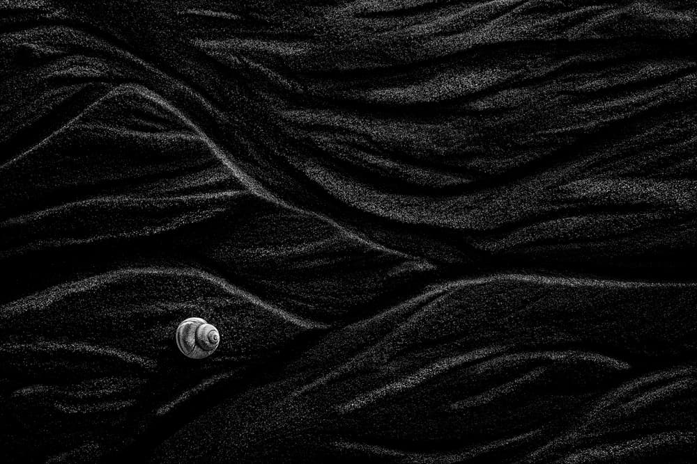Snail on Dark Waves by Stephen Clough — canvas wall art
