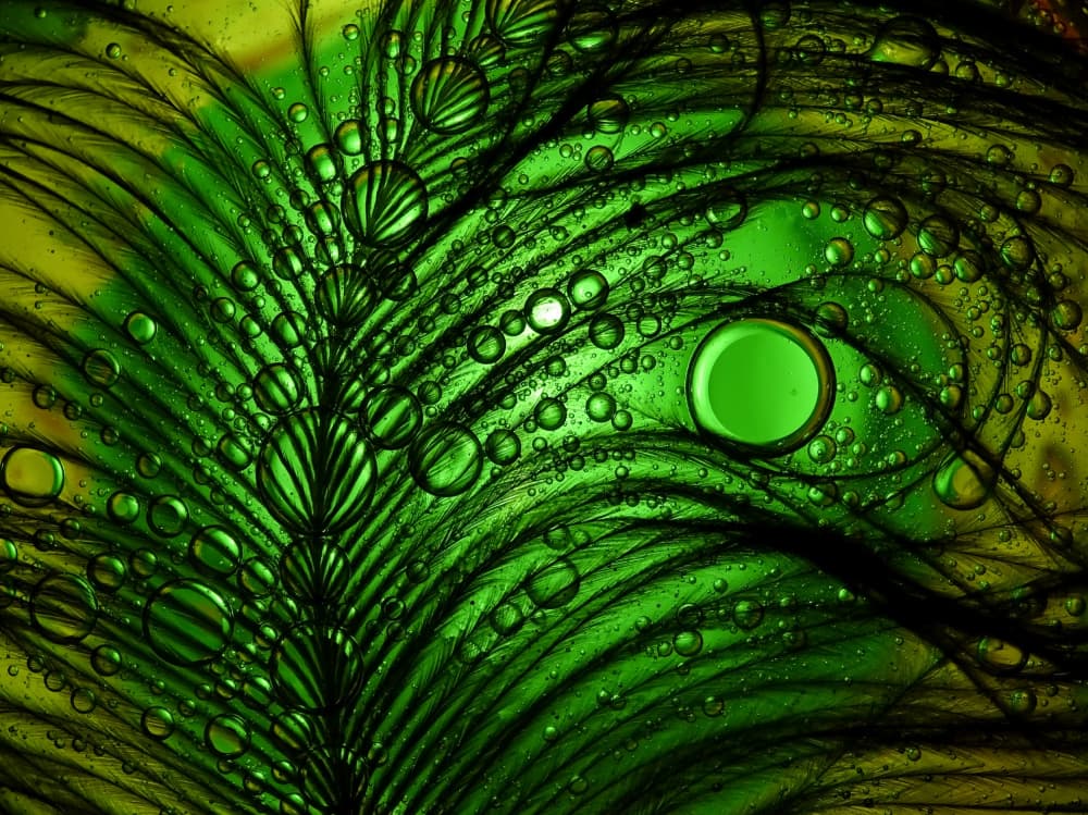 Emerald Feather Bubbles by Ivan Lesica — canvas wall art