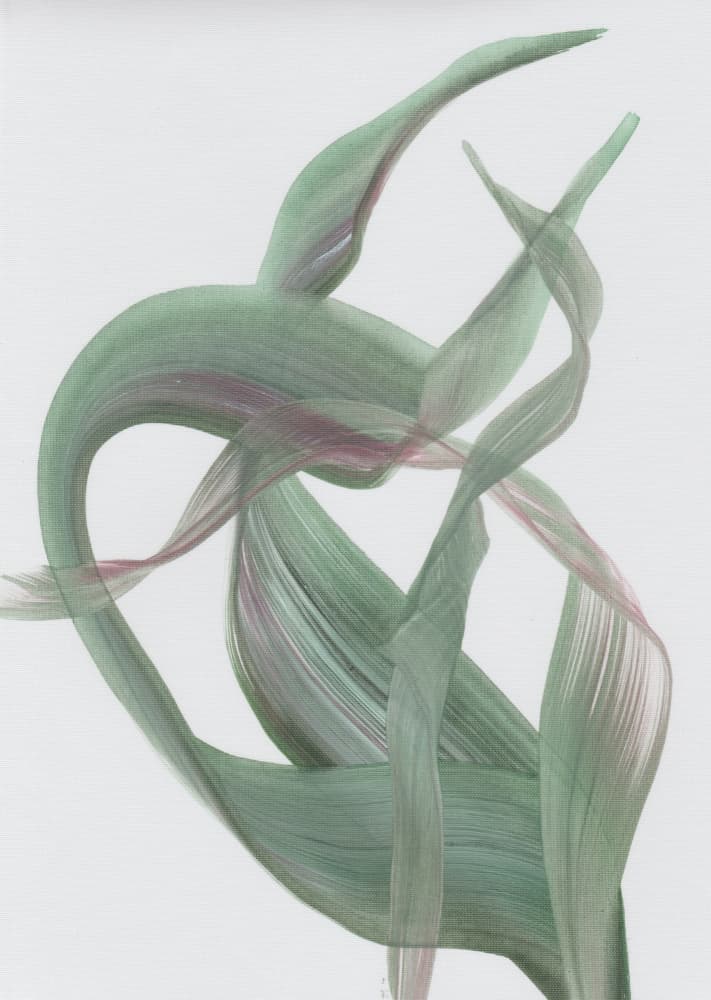 Organic Flowing Ribbons by Maira Ribena — canvas wall art