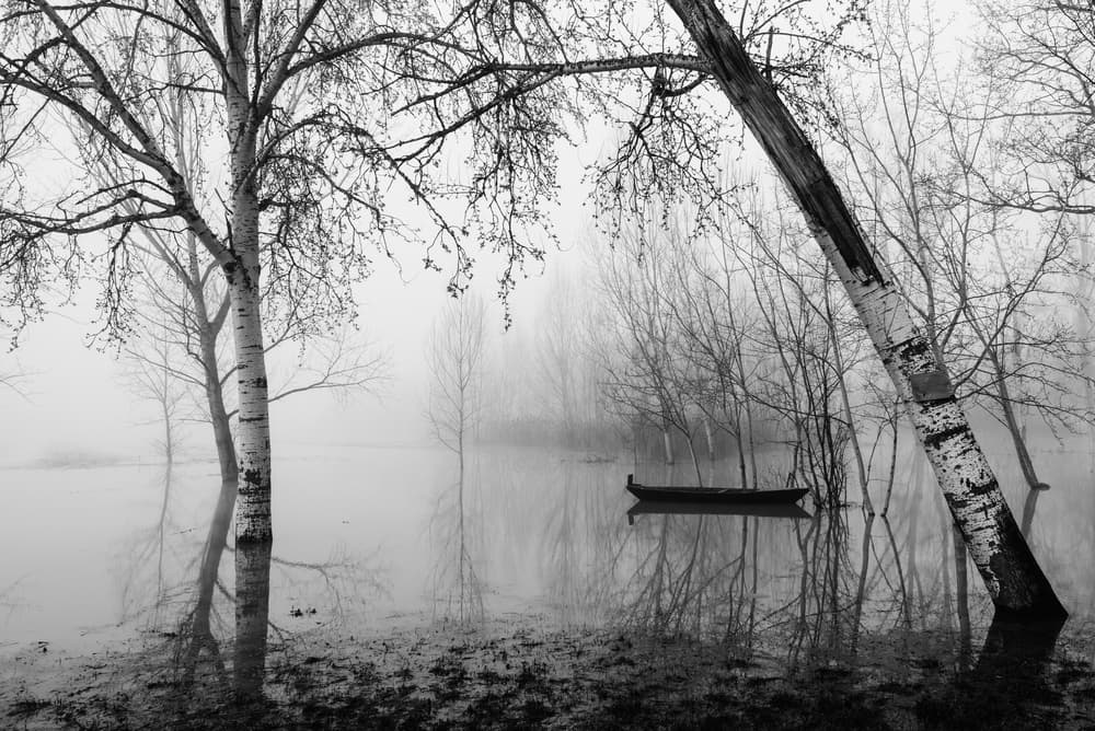 Misty Lake Boat by Matteo Chiarello — canvas wall art